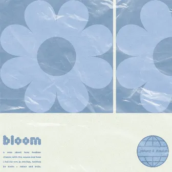 Bloom by Kadie