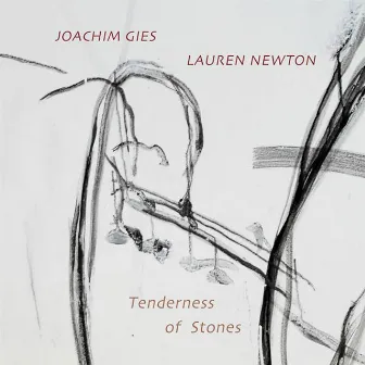 Tenderness of Stones by Lauren Newton