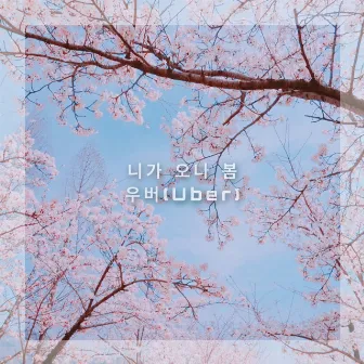 니가 오나 봄 by Uber