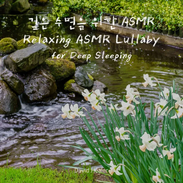 ASMR for Deep Sleeping