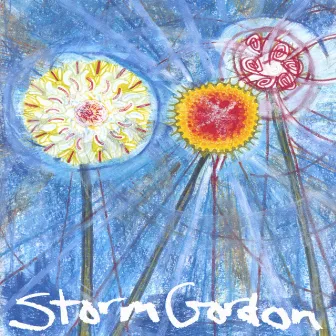 Songs For Birdman by Storm Gordon