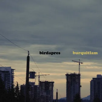 Burquitlam by Birdapres