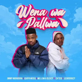 Wena Wa Pallwa (feat. Ch'cco & LeeMcKrazy) by QuayR Musiq