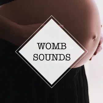 Womb Sounds by Baby Sleep Spot