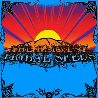 The Harvest by Tribal Seeds