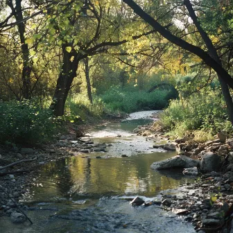 Claridad Del Río: Ambiente De Estudio Con Flujo by Música de estudio instrumental