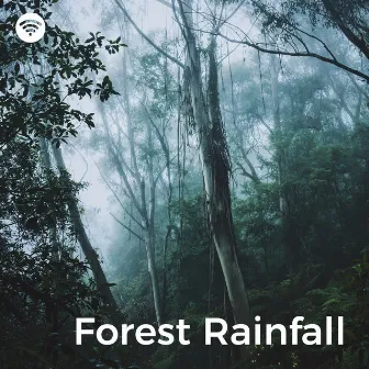 Forest Rainfall: Nature's Embrace by Falling Rain Sounds