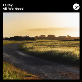 All We Need by Tokay.