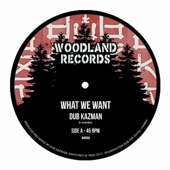 What We Want by Dub Kazman