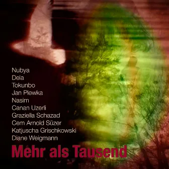 Mehr als Tausend by Jan Plewka