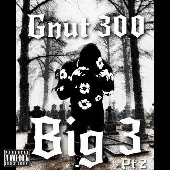 Big 3 Pt. 2 by Gnut300