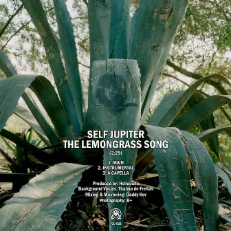 The Lemongrass Song by Self Jupiter