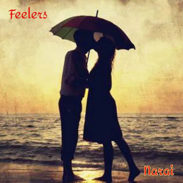 Feelers