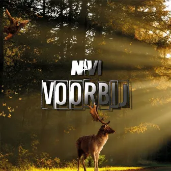 Voorbij by Nivi