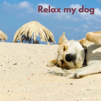 Dog Chill (Loopable, No Fade) by Relaxing Dog Music Playlists