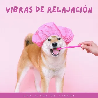 Vibras De Relajación: Una Tarde De Perros by Perritos Fantásticos