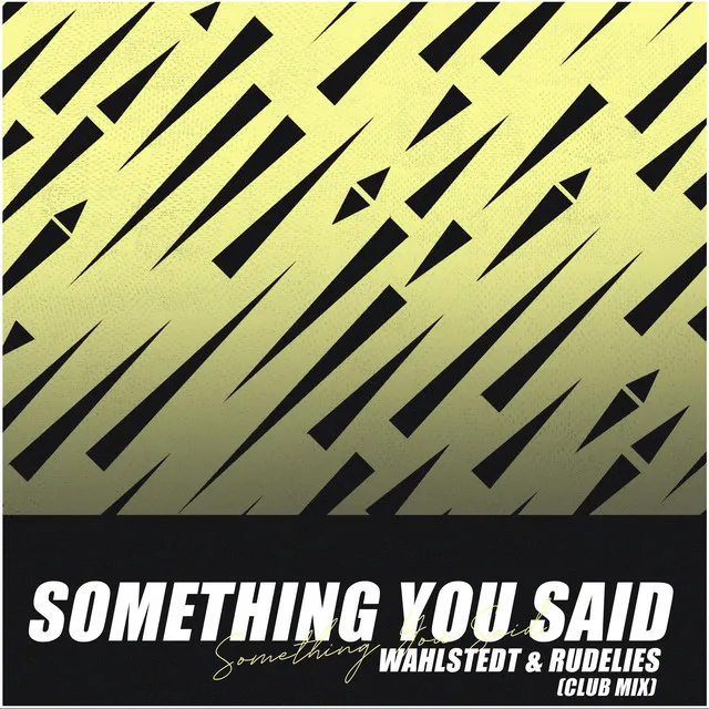 Something You Said - Club Mix