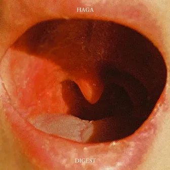 Digest by HAGA