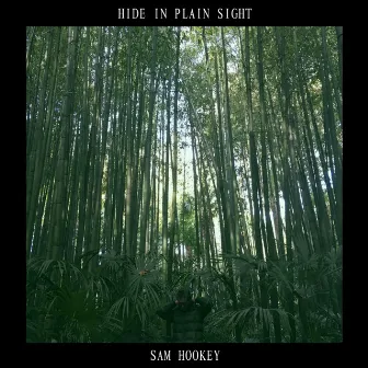 Hide in Plain Sight by Sam Hookey