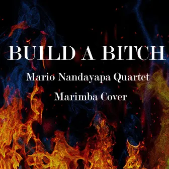 Build a Bitch by Mario Nandayapa Quartet