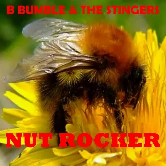 Nut Rocker by The Stingers