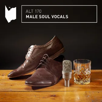 Male Soul Vocals by Chøppersaurus