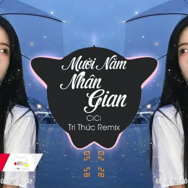 Mười Năm Nhân Gian (Trí Thức Remix)