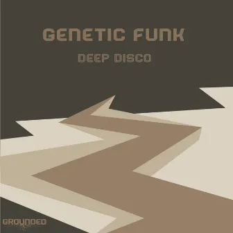 Deep Disco by Genetic Funk