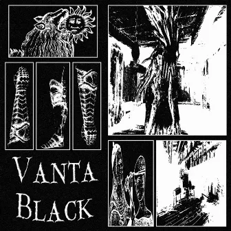 VANTA BLACK by Bojack Black