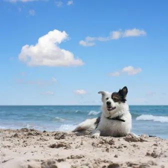 Ocean Breeze: Binaural Dogs Calm by 