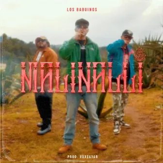 Malinalli by Los Babuinos Reggae