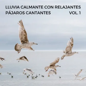 Lluvia Calmante Con Relajantes Pájaros Cantantes Vol. 1 by Canciones de animales y pájaros