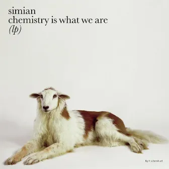 Chemistry Is What We Are by Simian