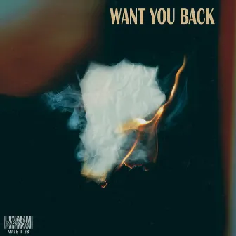 Want You Back by FAVIO