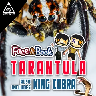 Tarantula by Face & Book