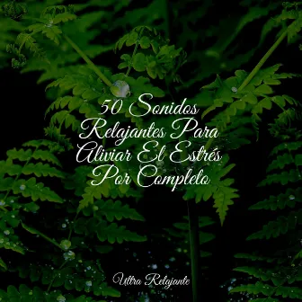 50 Sonidos Relajantes Para Aliviar El Estrés Por Completo by Master Meditação