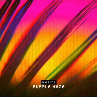 Purple Haze by Notize