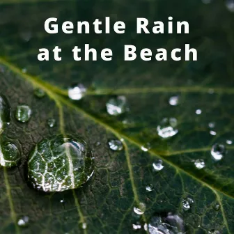 Gentle Rain at the Beach in the Magical Land of the Mayas (Tulum, Yucatán and Mexico) by Nature Sounds Sanctuary