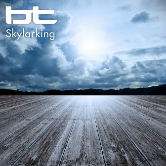 Skylarking by BT