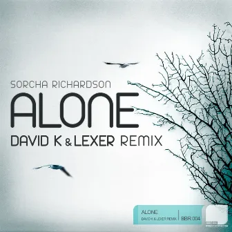 Alone by Sorcha Richardson