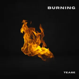 Burning by Tease