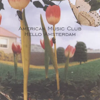 Hello Amsterdam by American Music Club