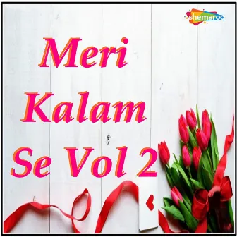 Meri Kalam Se Vol 2 by Brijesh Ahuja