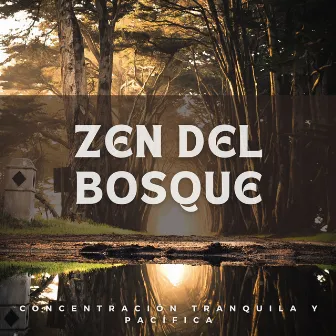 Zen del Bosque: Concentración Tranquila y Pacífica by Tiempo de concentración