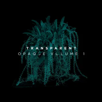 Opaque, Vol. 1 by Transparent