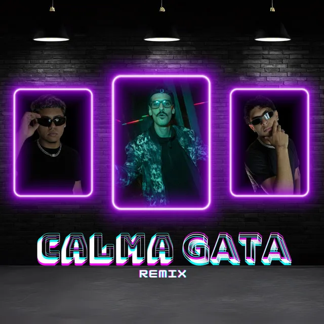 Calma Gata - Remix