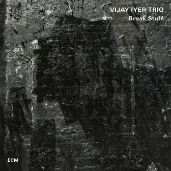 Break Stuff by Vijay Iyer