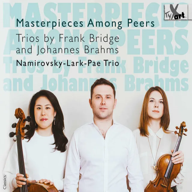 Piano Trio No. 1 in B Major, Op. 8 (1889 Version): IV. Finale. Allegro