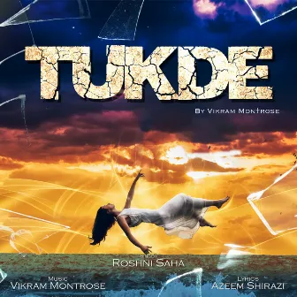 Tukde by Roshni Saha