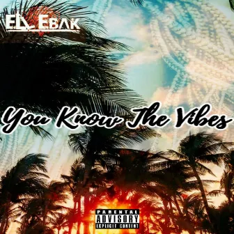 You Know The Vibes by Ell Ebak